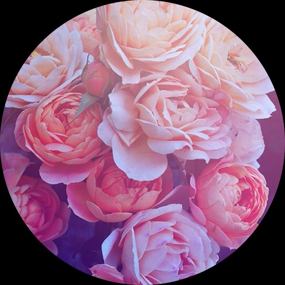 rosemsr
